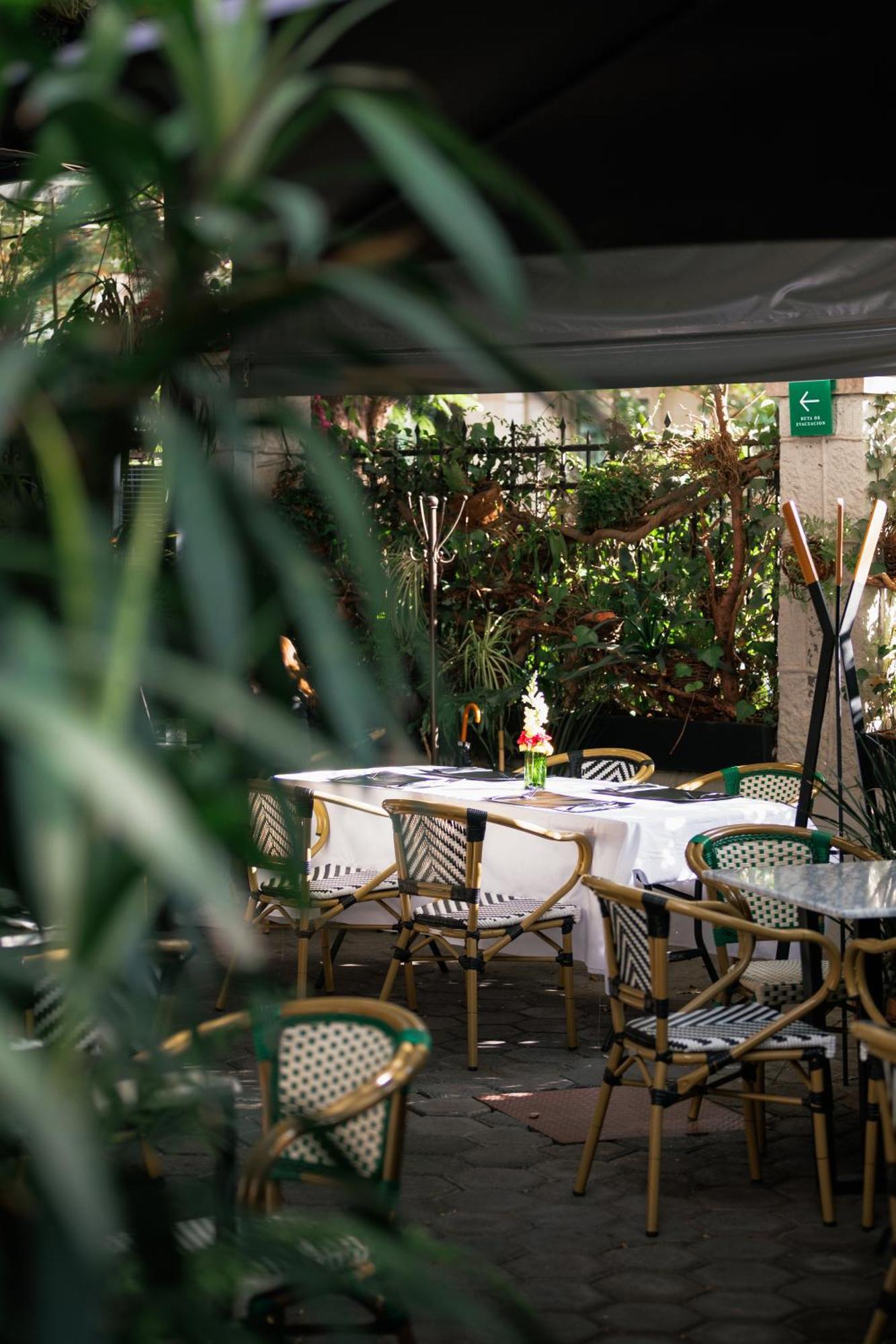 Hotel Orchid House Polanco 5*