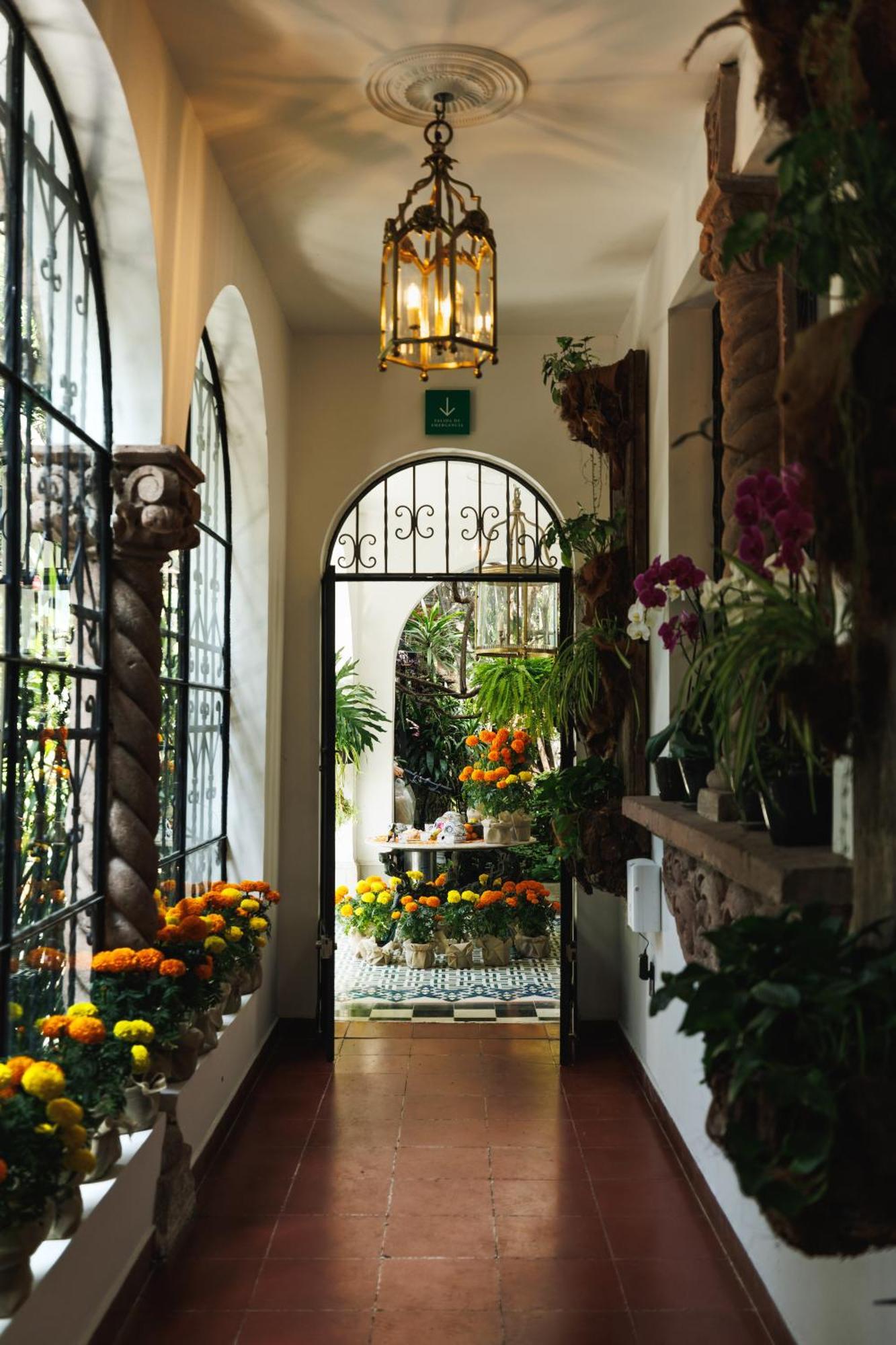Hotel Orchid House Polanco Mexiko-Stadt