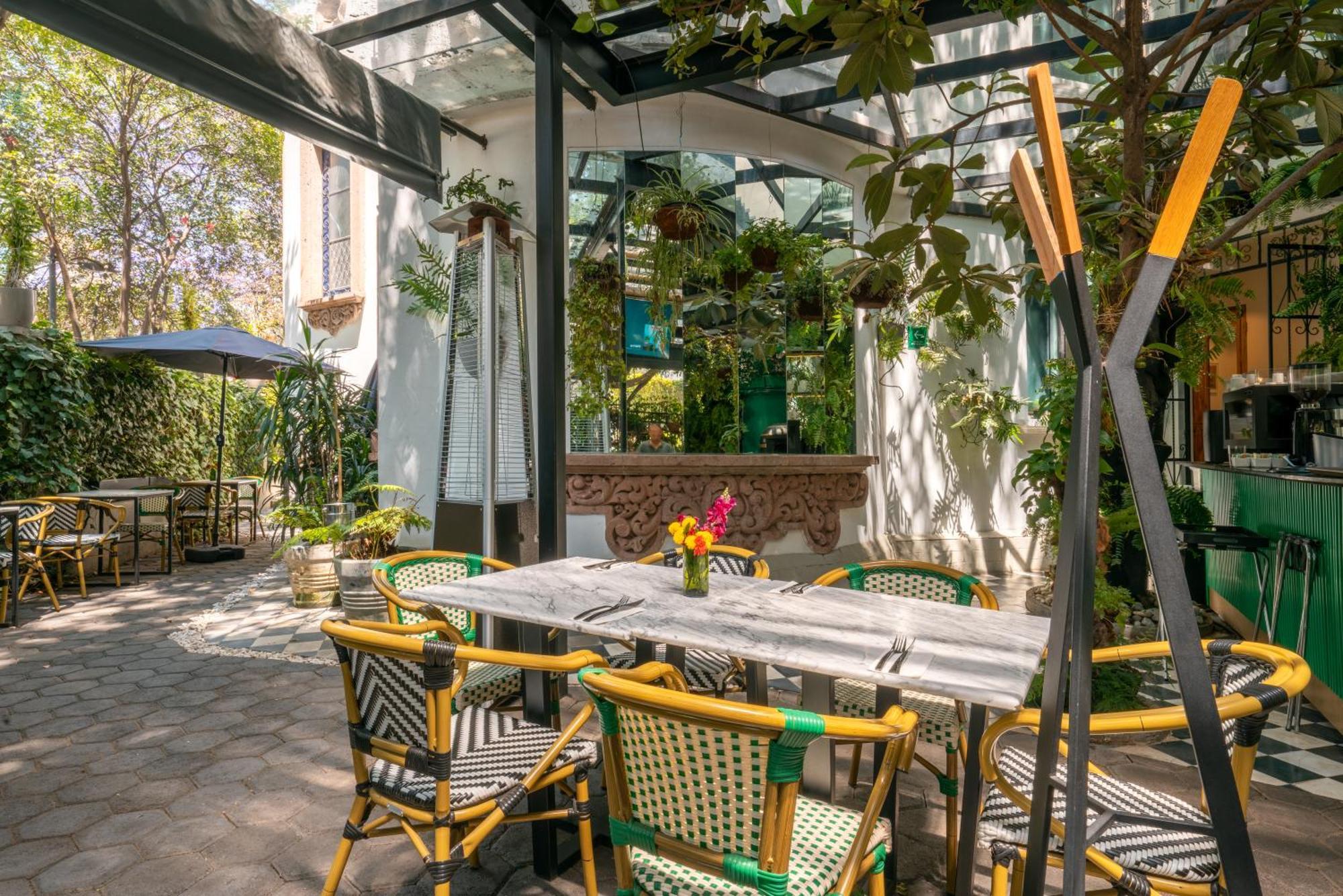 Hotel Orchid House Polanco