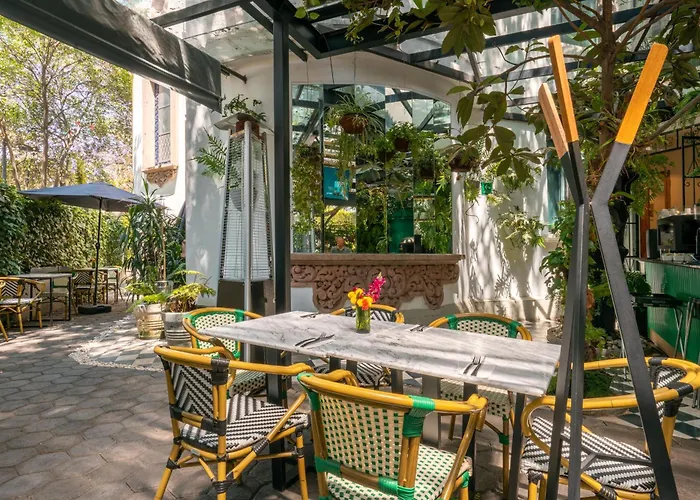 Orchid House Polanco