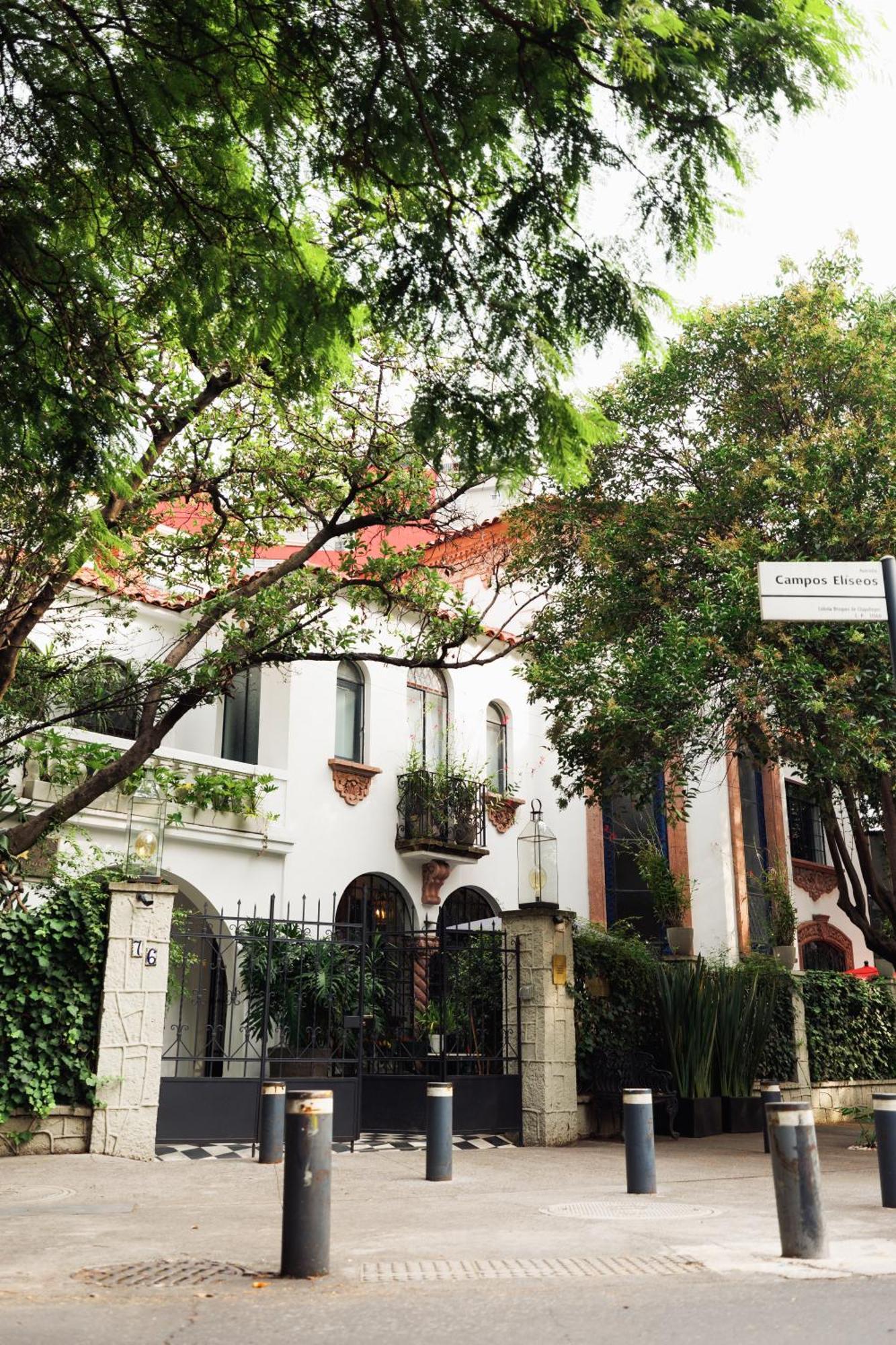 Orchid House Polanco Hotel México DF