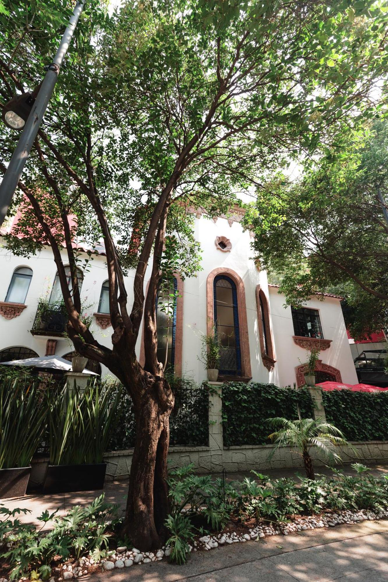 Orchid House Polanco México DF